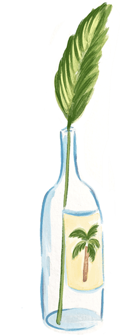 Desenho de garrafa